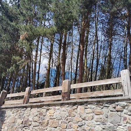 Hotel El Nuevo Semellon Aceptamos Mascotas Tineo Kültér fotó