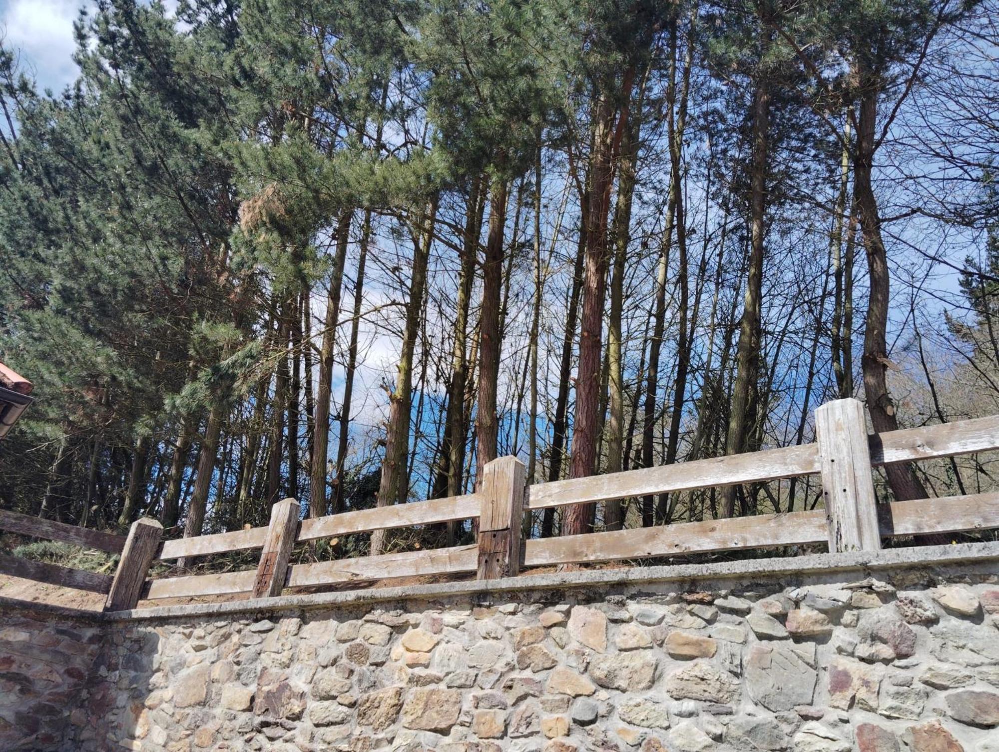 Hotel El Nuevo Semellon Aceptamos Mascotas Tineo Kültér fotó