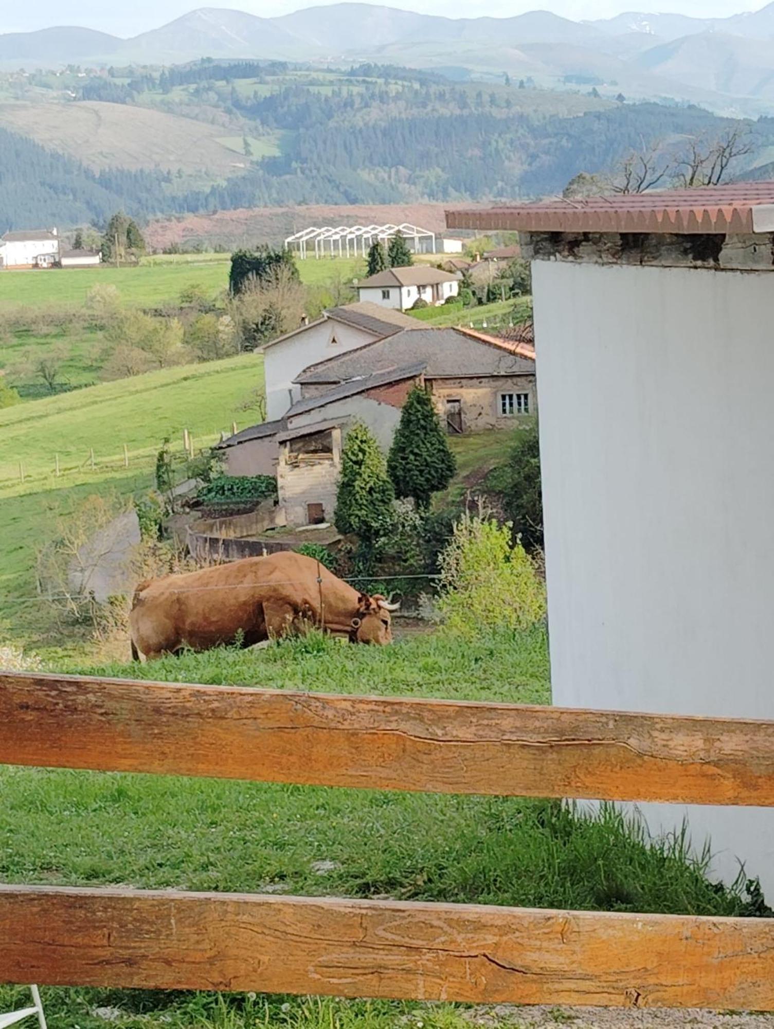 Hotel El Nuevo Semellon Aceptamos Mascotas Tineo Kültér fotó